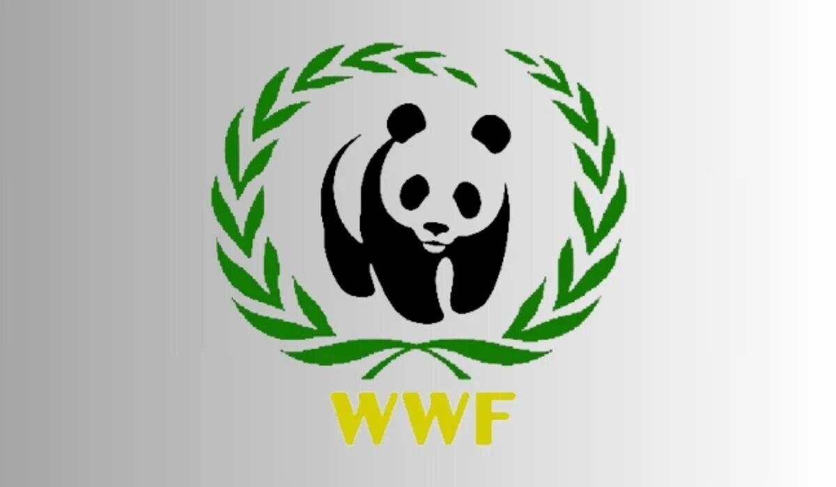 The world wildlife fund is an organization. Всемирный фонд дикой природы WWF. Эмблема WWF Всемирного фонда дикой природы. Логотип Всемирный фонд природы (WWF России). День рождения Всемирного фонда дикой природы 11 сентября.