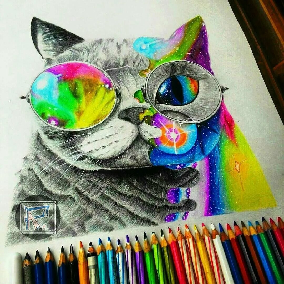 Кот рисунок цветной. Цветные коты. Разноцветный кот. Рисунки разноцветные. Разноцветные коты рисунки.