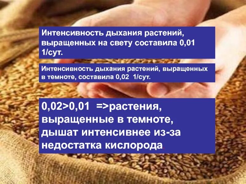 От чего зависит интенсивность дыхания. Интенсивность дыхания растений. определение интенсивности дыхания. интенсивность дыхания растений зависит от содержания. интенсивность дыхания растений формула.