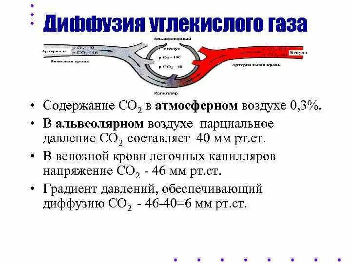 Парциальное давление углекислого газа. Диффузия углекислого газа. Парциальное давление углекислого газа в венозной крови. Парциальное давление в артериальной крови. Концентрация углекислого газа в легких