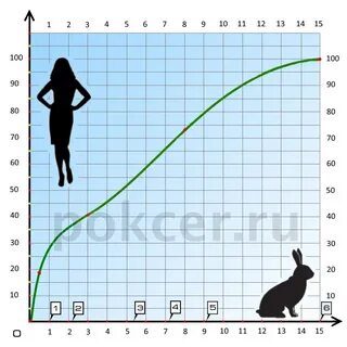 Сколько лет кролику