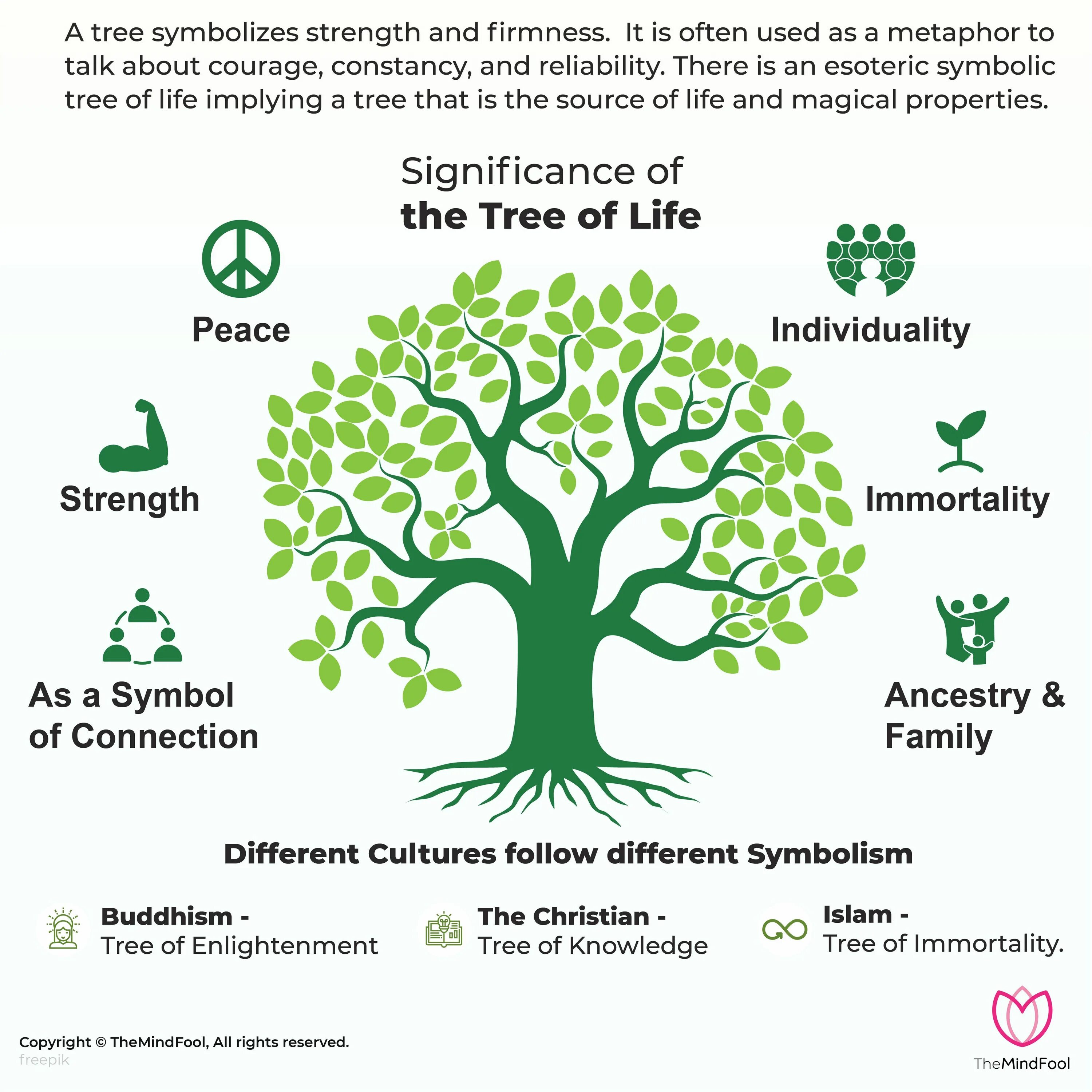 Them of life meaning of. Дерево символ. Tree of Life. Дерево життя. Деревья символы стран.