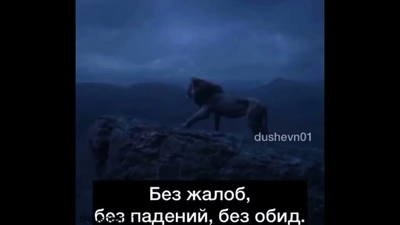 Не испытывайте мое терпение майер. Терпи мой друг терпением. терпи мой друг терпением красивым без жалоб без падений без обид стих. терпи мой друг терпением красивым без жалоб. терпи друг мой терпением красивым стих.