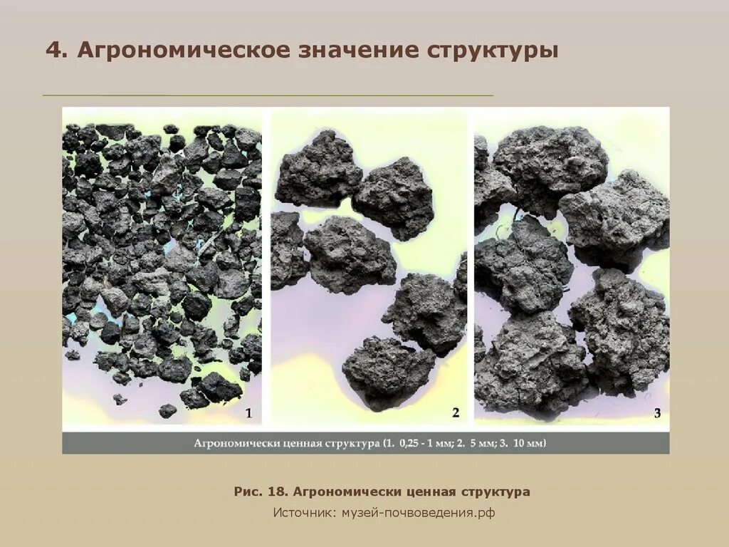 Комковато-зернистая структура почвы. Агрономически ценная структура почвы. Глыбистая структура почвы. Зернистая структура почвы.