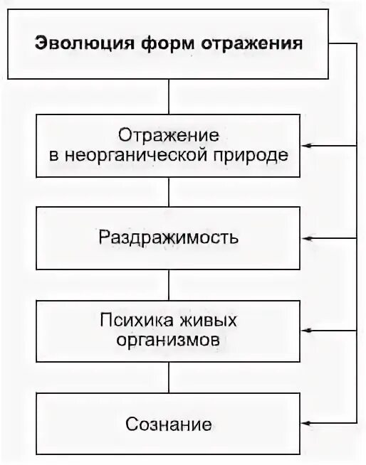 Понятие отражение формы отражения. Эволюция форм отражения философия. формы отражения в философии. формы отражения сознания в философии. виды отражения в философии.