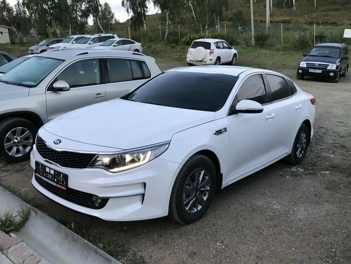 Авито Kia Optima б у. Оптима б у куплю