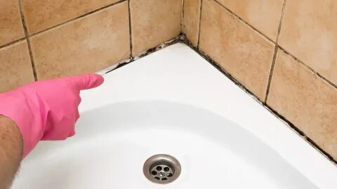 How to Clean Mold From Your Bathtub Using Toilet Paper Mental Floss