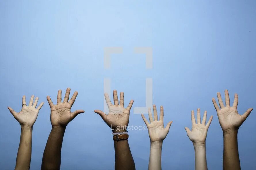 Raise перевод. Поднятая рука. Raised hand. Hands up картинки. Студент тянет руку.