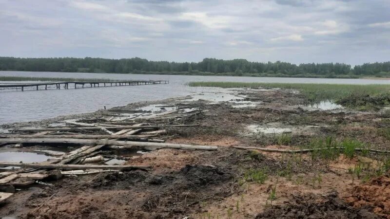 Земельный массив для сельхозпроизводства на берегу Кершинского водохранилища на 