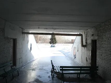 Прогресс бийск