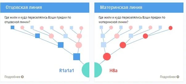 Именование по предкам отцовской линии 10 букв