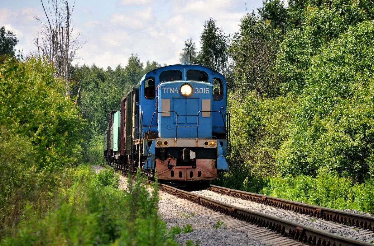 Ппжт ногинск. Тгм4 тепловоз. ППЖТ Ступино. Заброшенные поезда тгм4. Тгм4 1146 Ногинск.