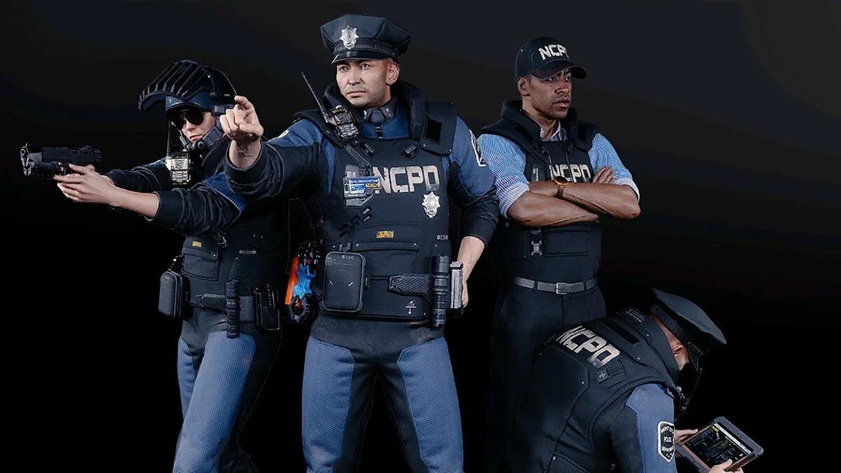 Police system. Police system