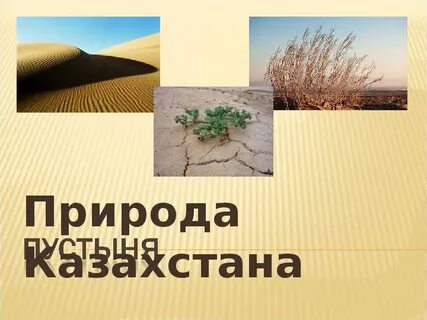 Урок 4 класс пустыня