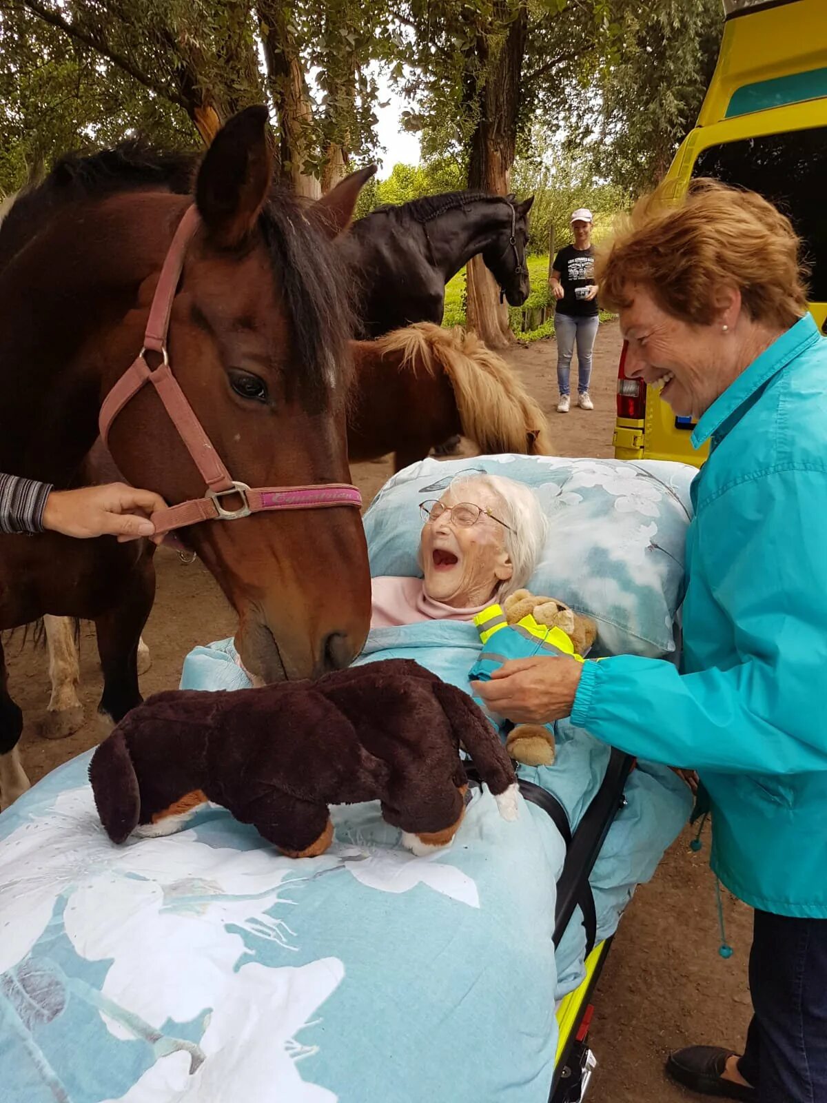 Собаки и умирающие хозяева. Последнее желание умирающих. Последнее желание человека. Последние желания умирающих людей. Хозяева прощаются с питомцами.