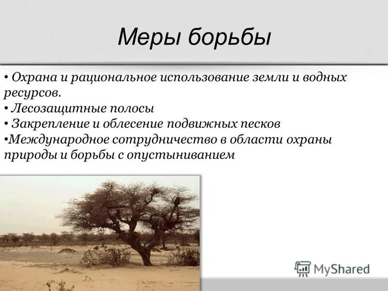 Меры борьбы с опустыниванием земель. Опустынивание меры борьбы. Методы борьбы с опустыниванием земель. Экология почвы. Опустынивание меры борьбы.