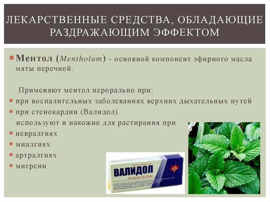 Мята перечная эффекты. Лекарственные средства с ментолом. раздражающие средства характеристика лекарственных средств. лекарственный препарат обладающий раздражающим действием. раздражающие лекарственные средства фармакологические эффекты.