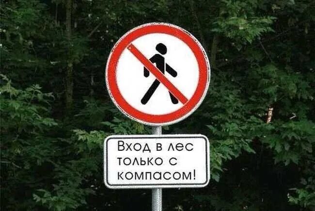 Хорошо в лесу какой знак. Знаки в лесу. Знак не ходить в лес. Осторожно лес. Знак леса.
