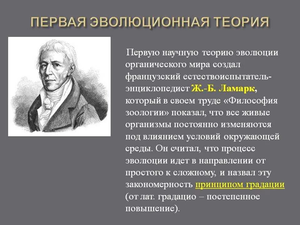 Кто из ученых разработал теорию. Первые эволюционные концепции. Первая теория эволюции. Первая концепция эволюции.