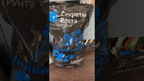 Грунт в светофоре