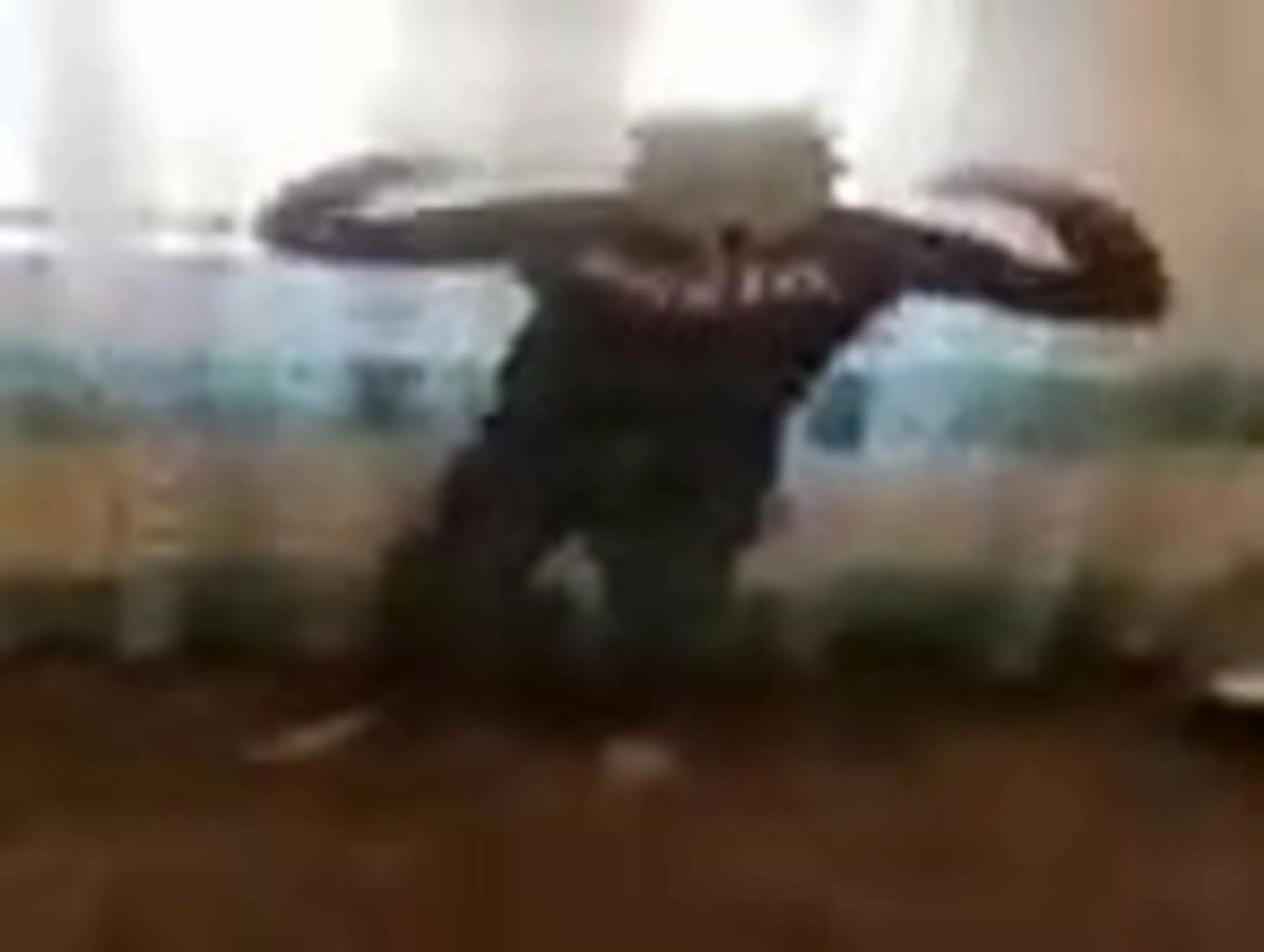 Мухамед килба. Абу бандит. Абубакар абу бандит. Банов абу. Абу бандит 2022.