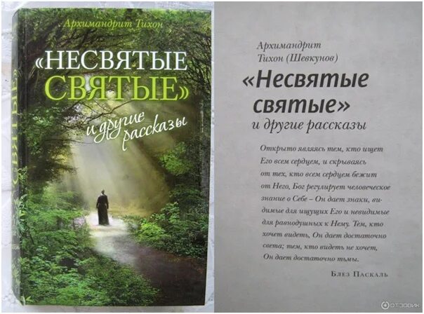 Несвятые святые 1 издание. Несвятые святые печоры