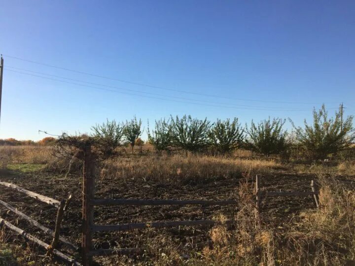Латное воронежская область. Село латное карта. Погода в латном на 10 дней. Погода в латном на 10 дней. Погода в латном на 10 дней.