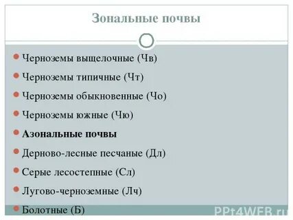 Почвы относящиеся к азональным типам