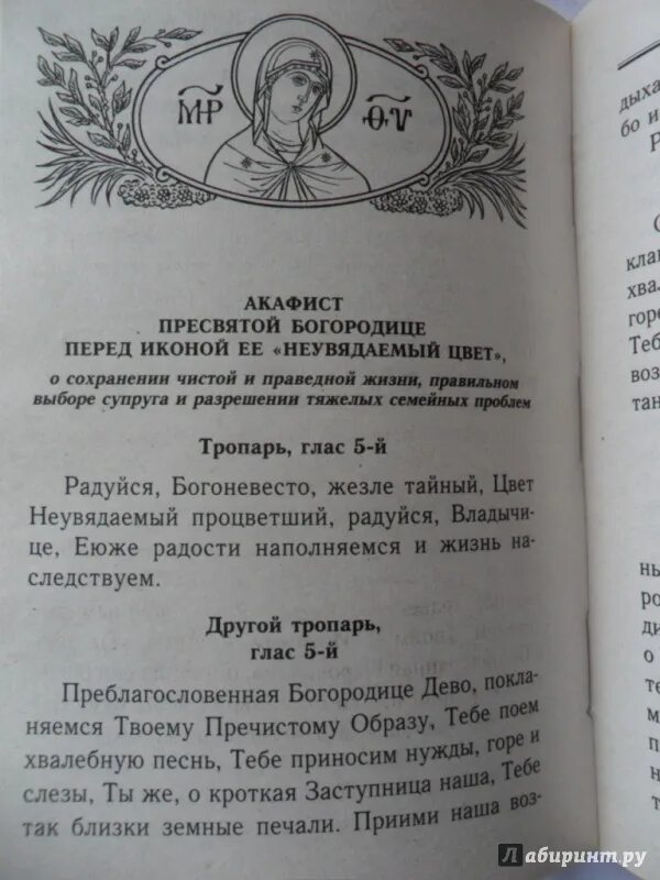 Акафист Богородице Неувядаемый цвет. Богородица Неувядаемый цвет акафист. Молитва Неувядаемый цвет о красоте. Молитвослов и акафисты для православной женщины. Читать православно акафисты