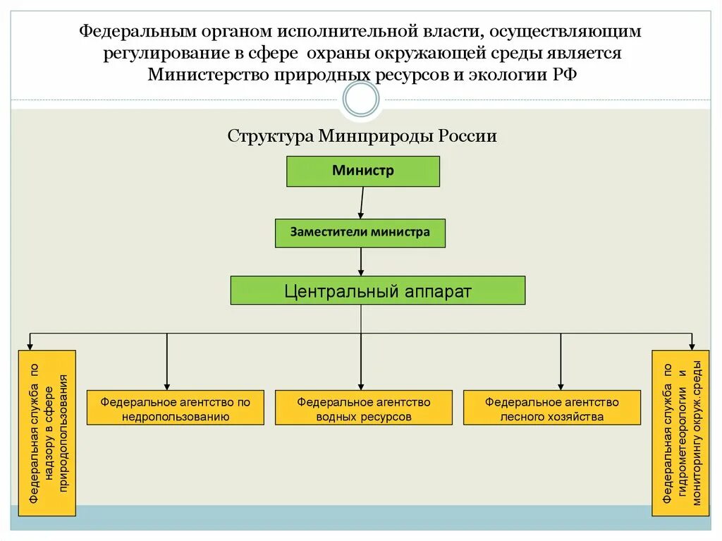 Схема системы органов управления охраной окружающей среды. Структура органов государственного экологического управления. Схему органов государственного экологического управления. Федеральные органы исполнительной власт. Органы исполнительной власти должны осуществлять