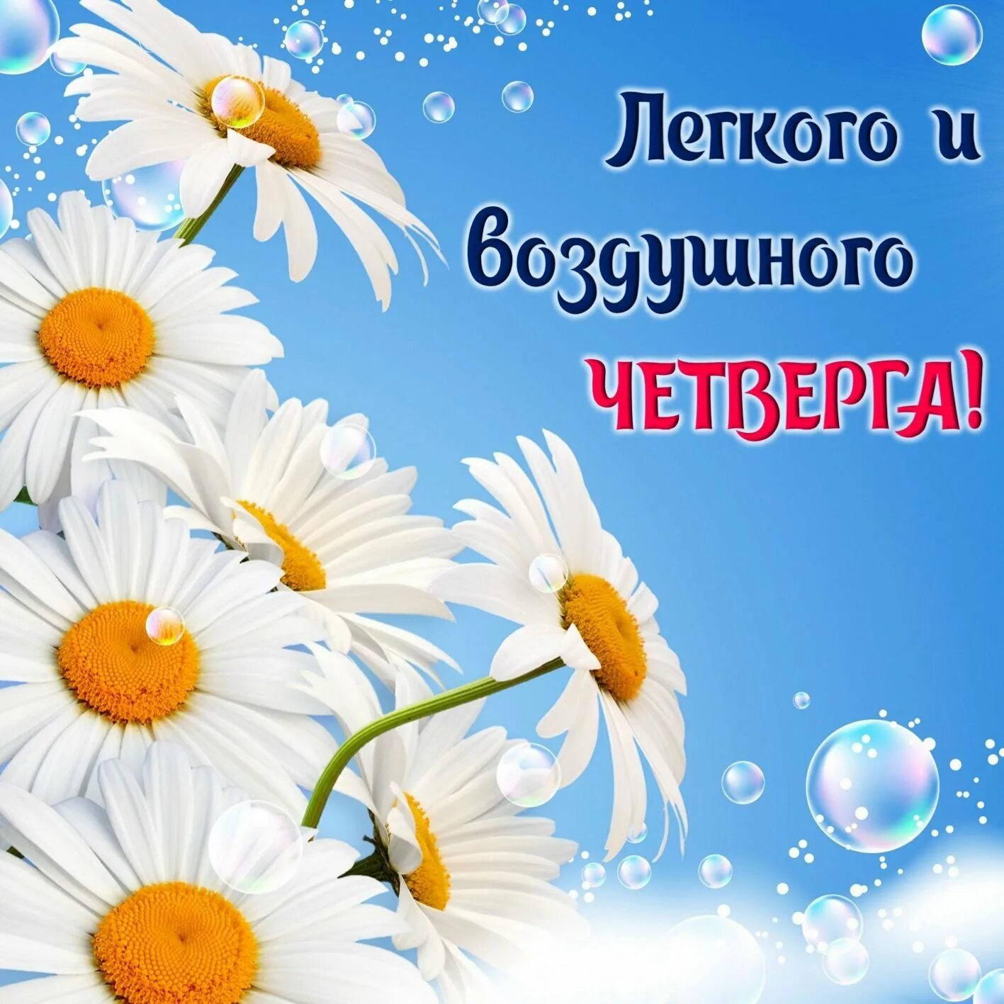Четверг утро работа. Доброе утро четверга. открытки с ромашками. с добрым утром четверга. открытки доброе утро.