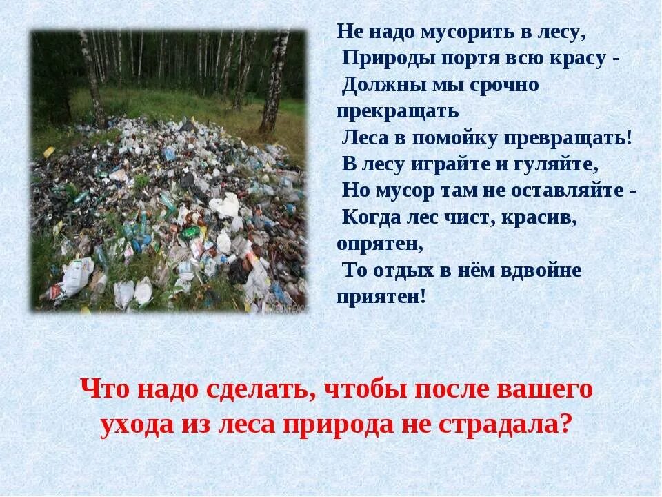 Куда деваются листья