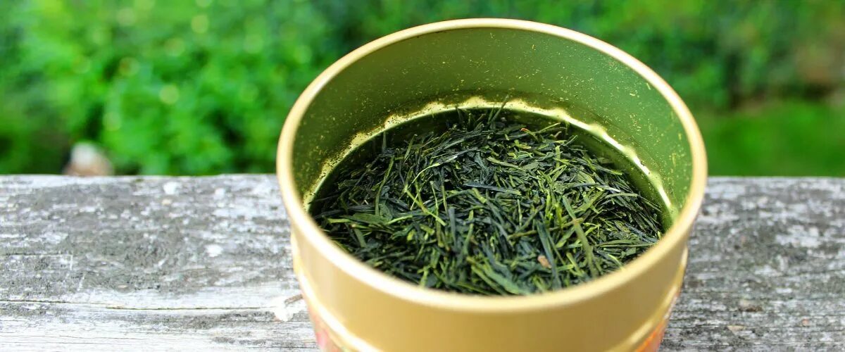 Вреден ли зеленый. Зеленый чай Сенча. Чайный лист. Зеленый чай с травой Сенча. Сенча японский напиток.