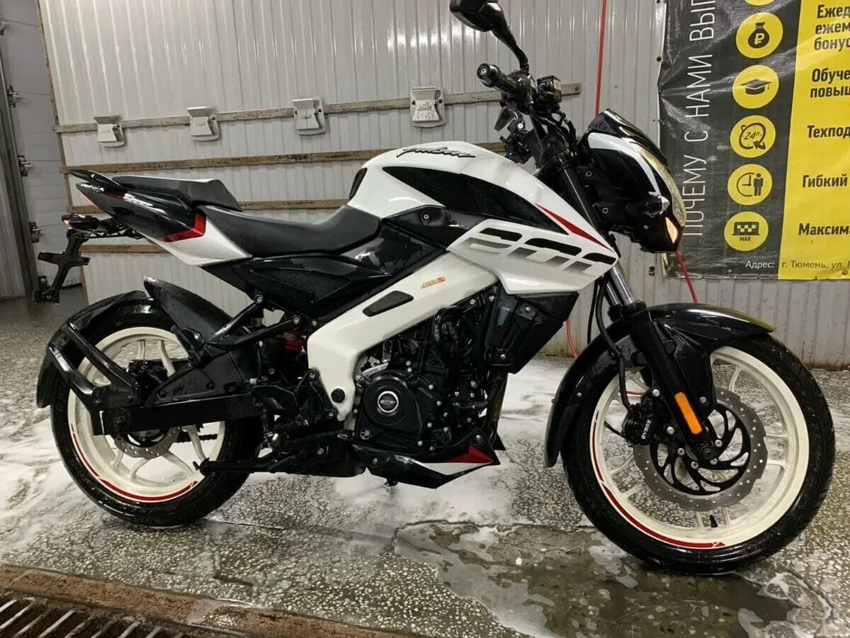 Баджер пульсар нс 200. Bajaj pulsar as 200. Стекло на баджаж нс 200. Bajaj pulsar ns 400 23 года. Bajaj pulsar ns200 тюнинг.
