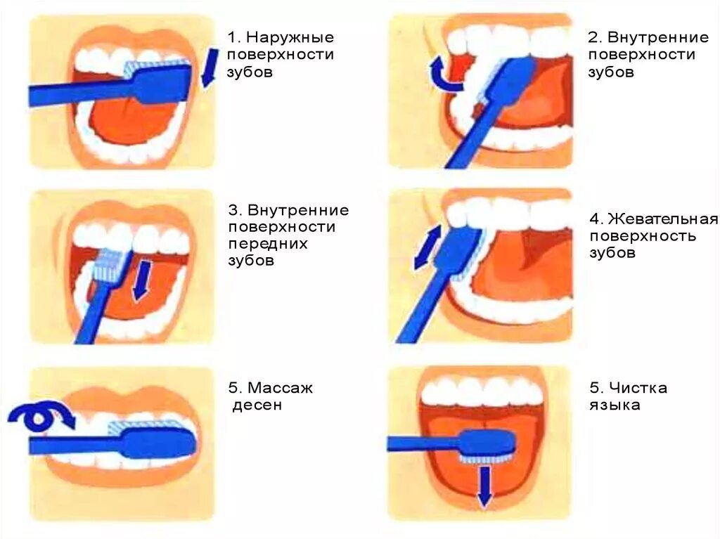 Методики чистки зубов