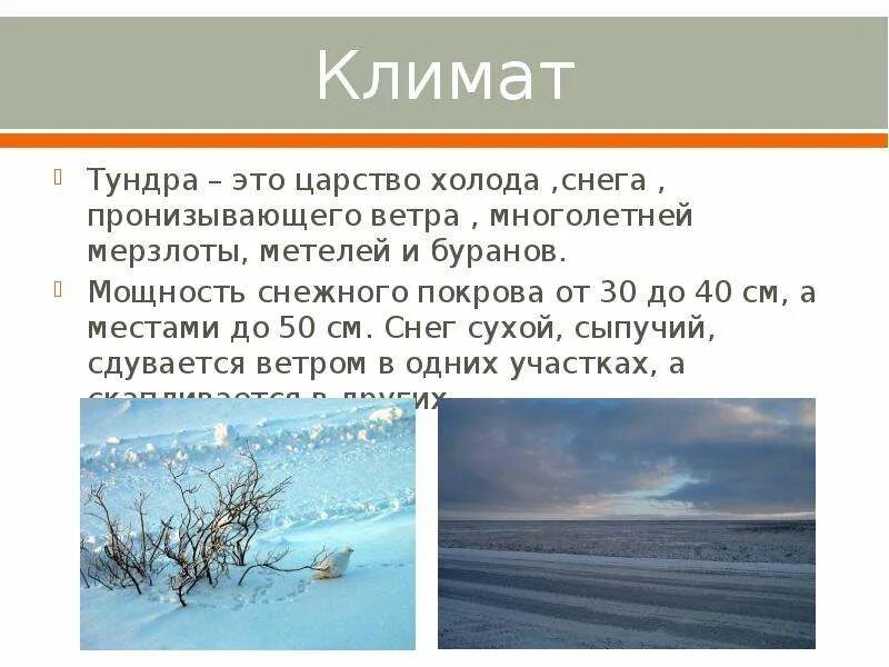 Климат тундры. Климат тундры в России. Климатические условия тундры. Климат тундры летом. Осадки в зоне тундры