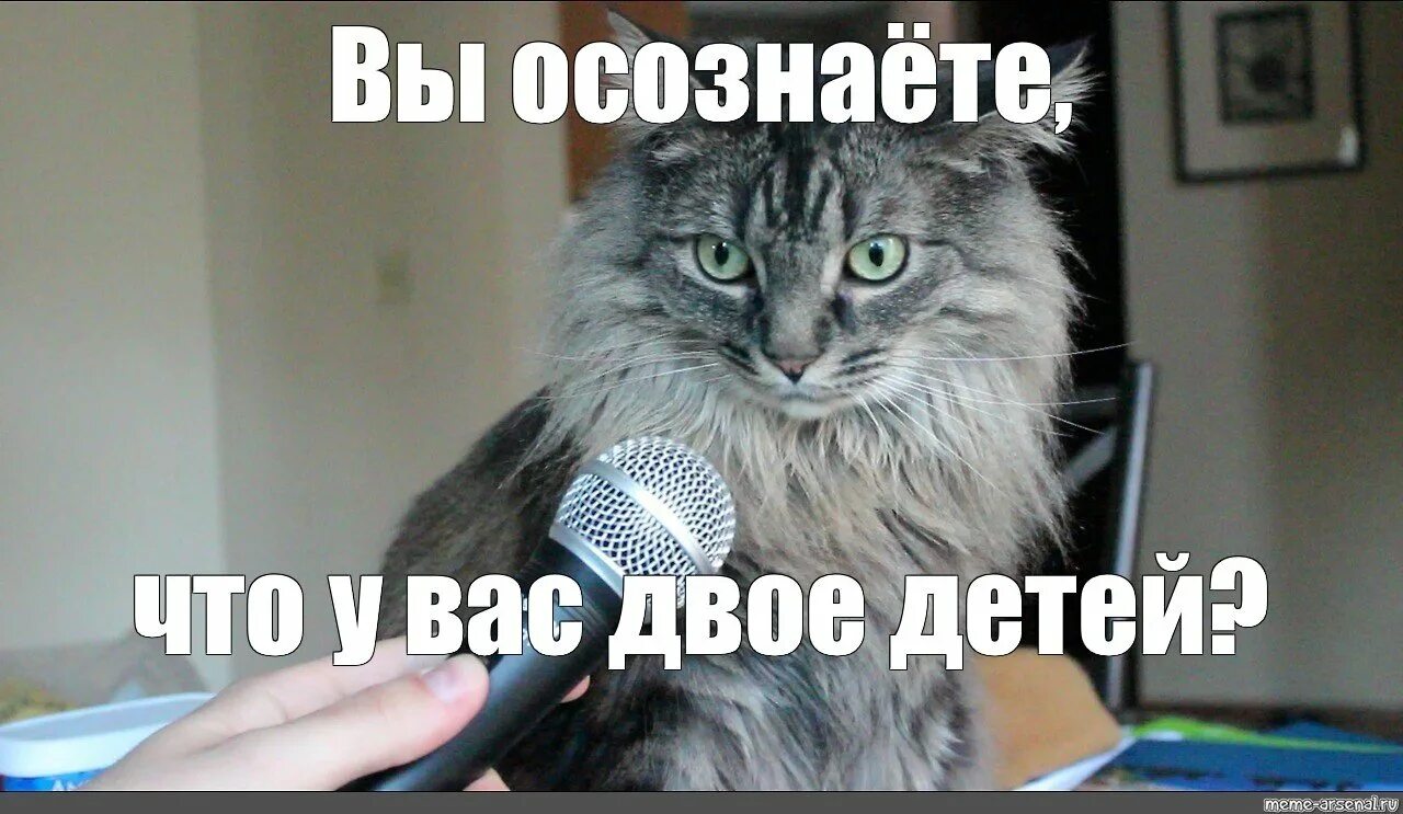 Кошка устала. Надо мем с путиным. Отдых после рабочего дня смешные рисунки. С окончанием рабочего дня открытка. Надо работать.