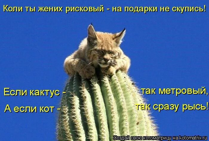 Спасибо положи туда. Вылазь из под каблука. Гена стикеры. Крокодил гена вам что делать нечего. Ты зачем туда полез.