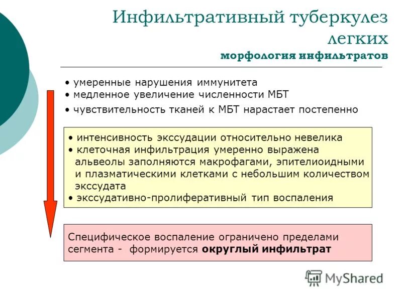 Инфильтративный туберкулез код по мкб 10. Иммунитет при туберкулезе фтизиатрия. Лечение инфильтративного туберкулеза с учетом чувствительности МБТ.