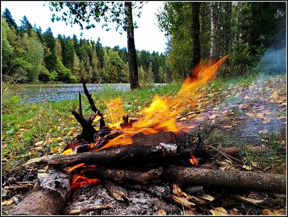 Лес замолкает и в зареве егэ. Костер в лесу. костер на природе. костер у реки. озеро лес костер.