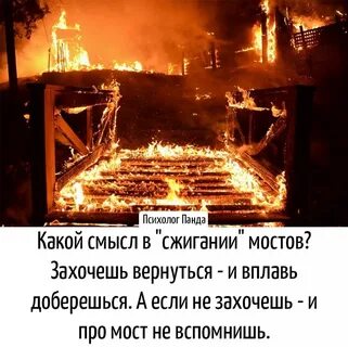 Сжигая за собой мосты содержание чем закончится