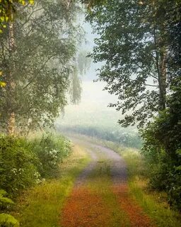В необычной тишине ранним утром