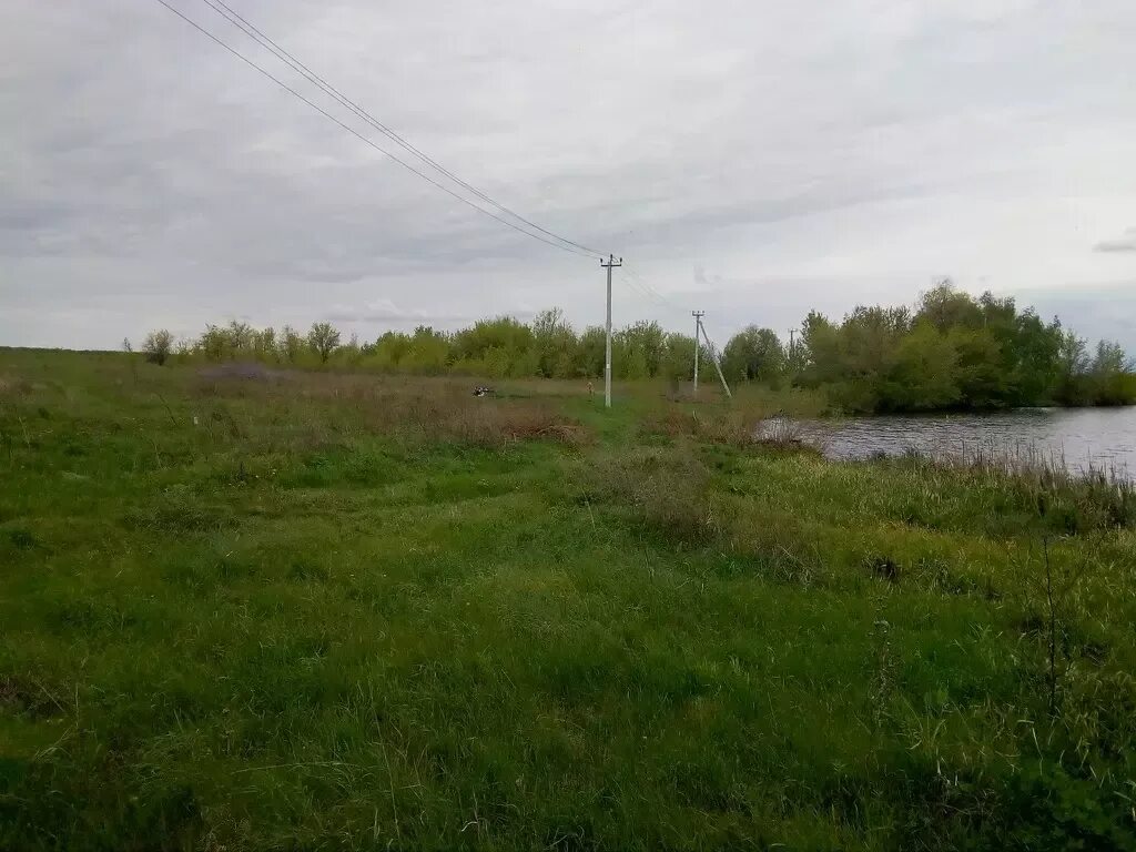 Село Еремеевка Саратовский район. Пруд Латрык Саратов. Село Еремеевка Саратовская область Саратовский район. Лес село Еремеевка Саратов. Еремеевка ершовский район саратовская область