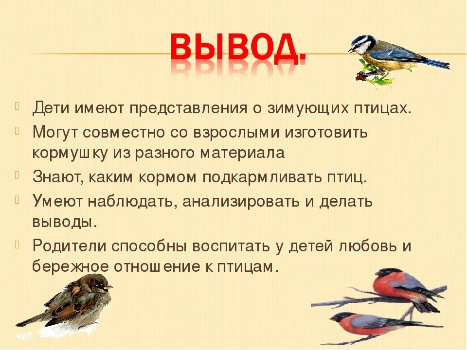 Коротко про птиц. Зимующие птицы для детей. Птицы для презентации. Зимующие птицы с описанием. Зимующие птицы вывод.