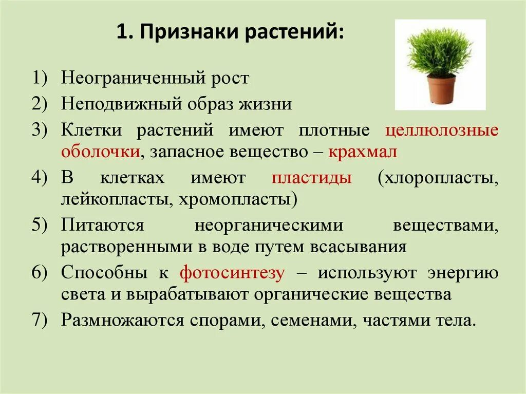 Признаки растений. Общие признаки растений. Основные признаки растений. Признаки растений 7 класс. 5 основных признаков растений