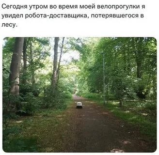 Нашли в лесу робота но зря разбудили