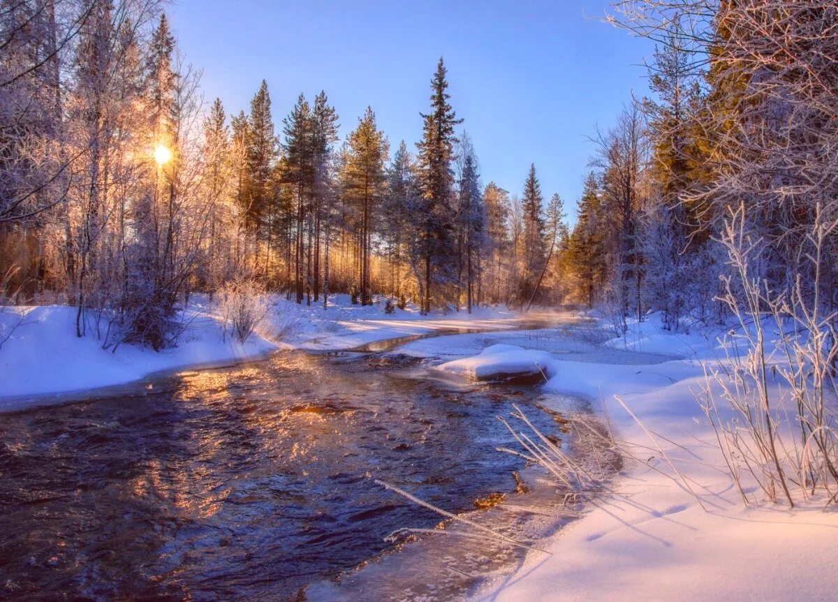 Зима в карелии. Зимний лес в Карелии. Снежный лес Карелия. Зимняя природа Карелии. Карелия зимой.