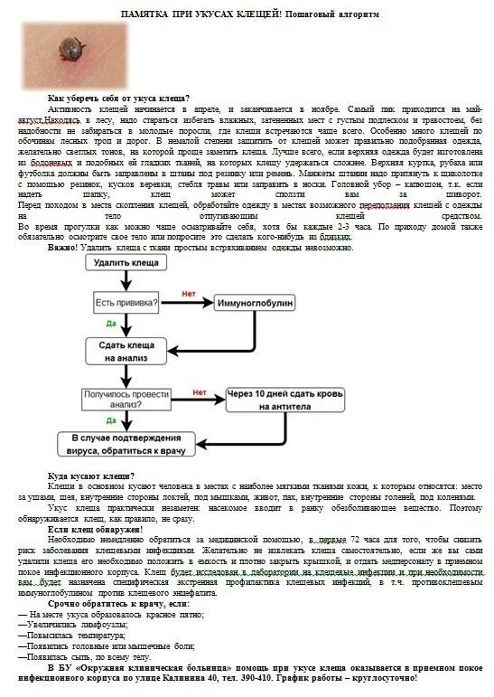 Иммуноглобулин после укуса клеща. Алгоритм действий при укусе клеща. Первая помощь при укусах клещей алгоритм. Алгоритм при укусе клеща. Алгоритм действия врача при укусе клеща.