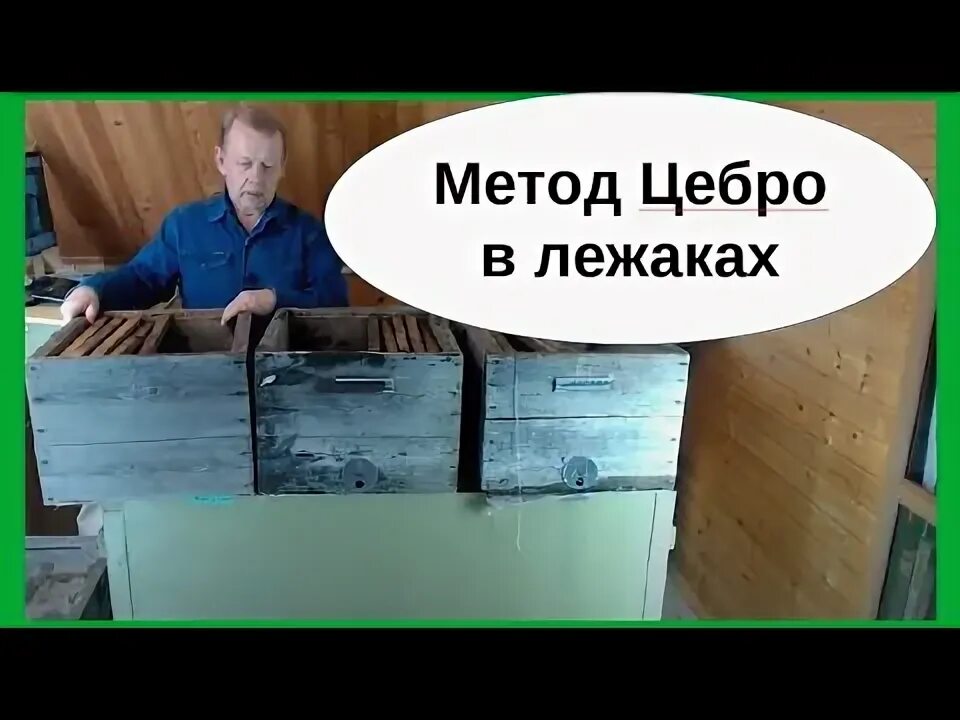 Метод цебро в пчеловодстве. Метод цебро в пчеловодстве