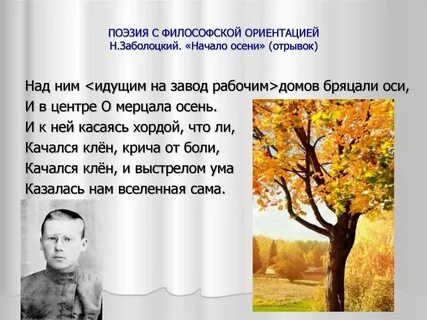 Заболоцкий утро